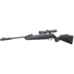 carabine remington express hunter np  4.5 19.9j  lunette 4x32